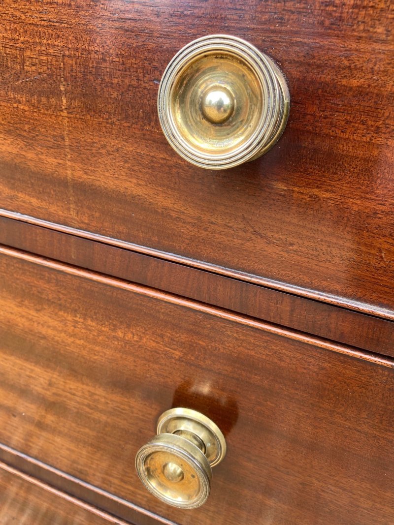 Regency mahogany chest of drawers - Image 5