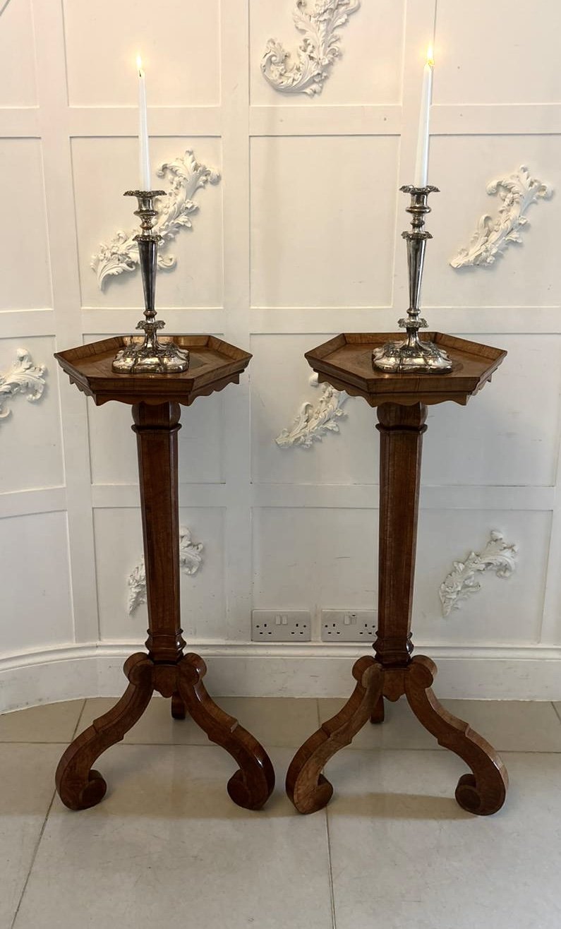 Antique Pair of Dutch Walnut and Kingwood Pedestal Torcheres - Image 3