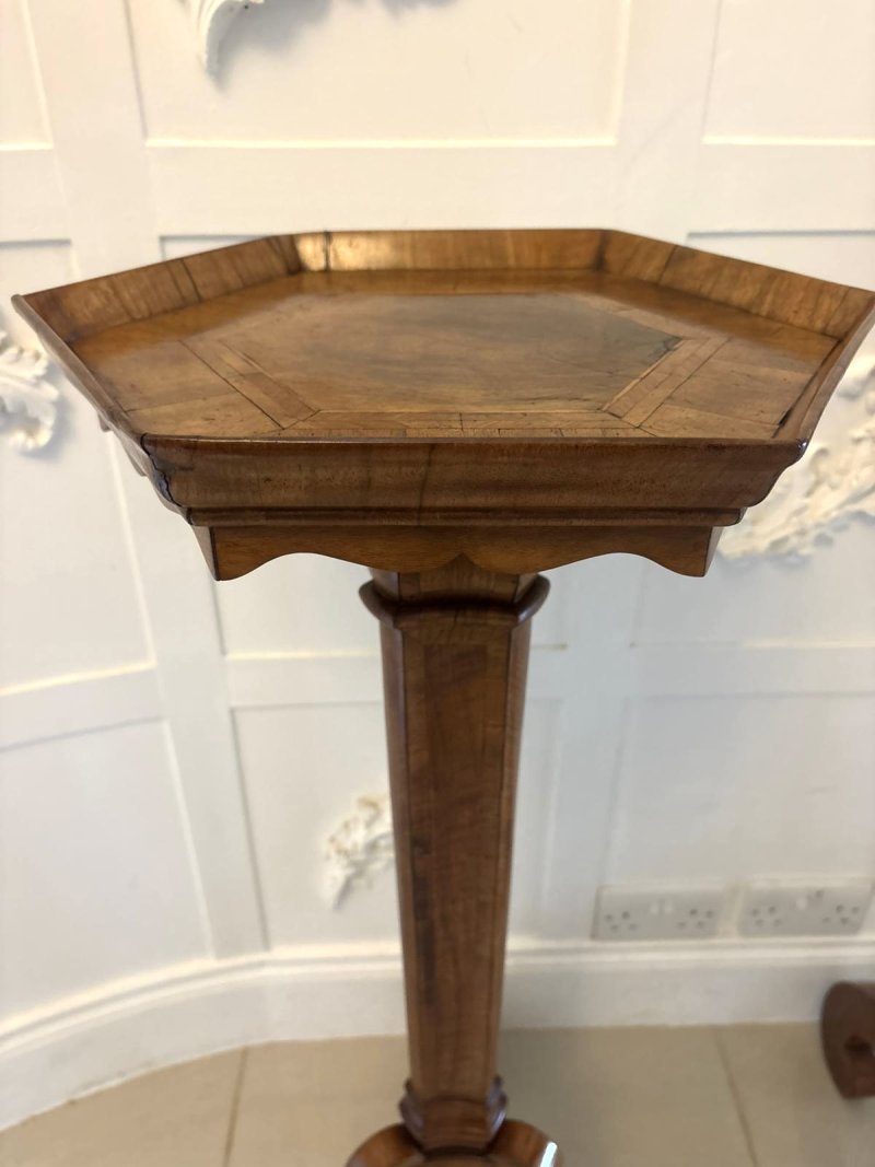 Antique Pair of Dutch Walnut and Kingwood Pedestal Torcheres - Image 8
