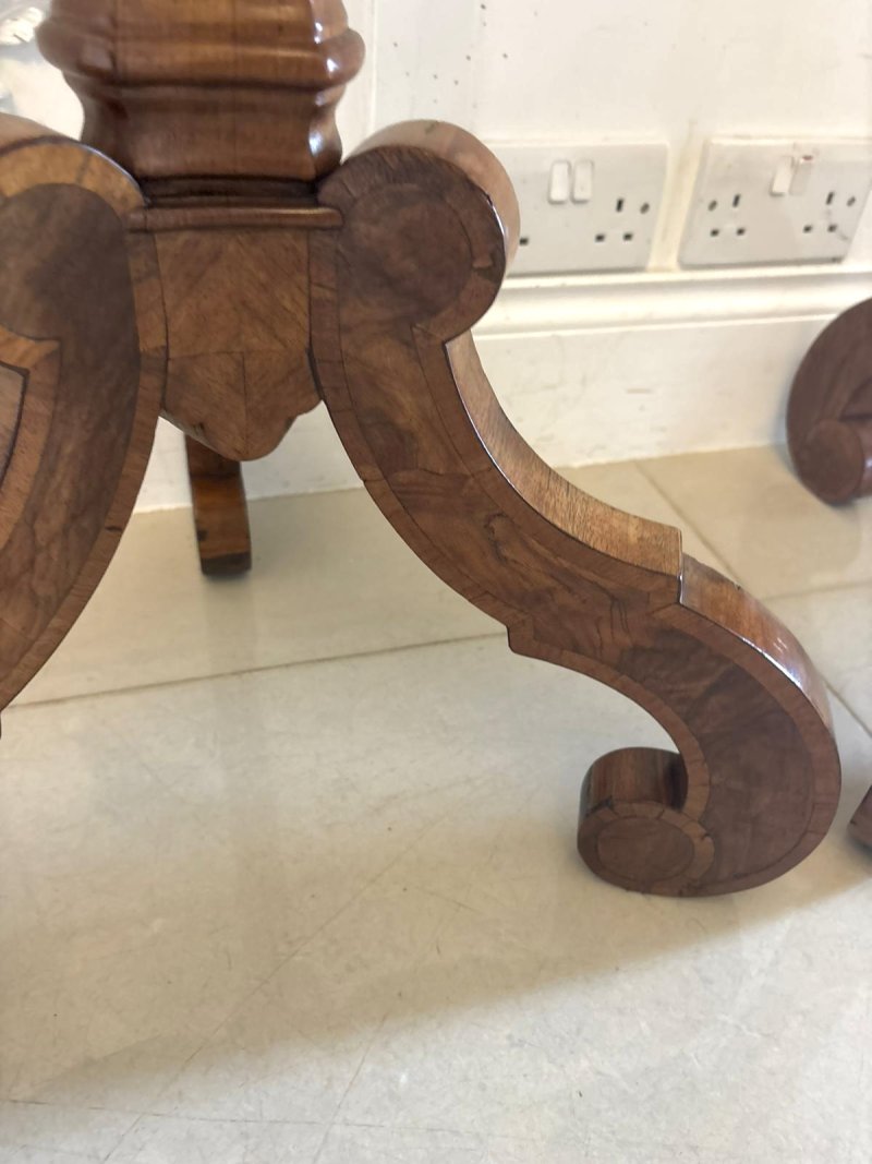 Antique Pair of Dutch Walnut and Kingwood Pedestal Torcheres - Image 15