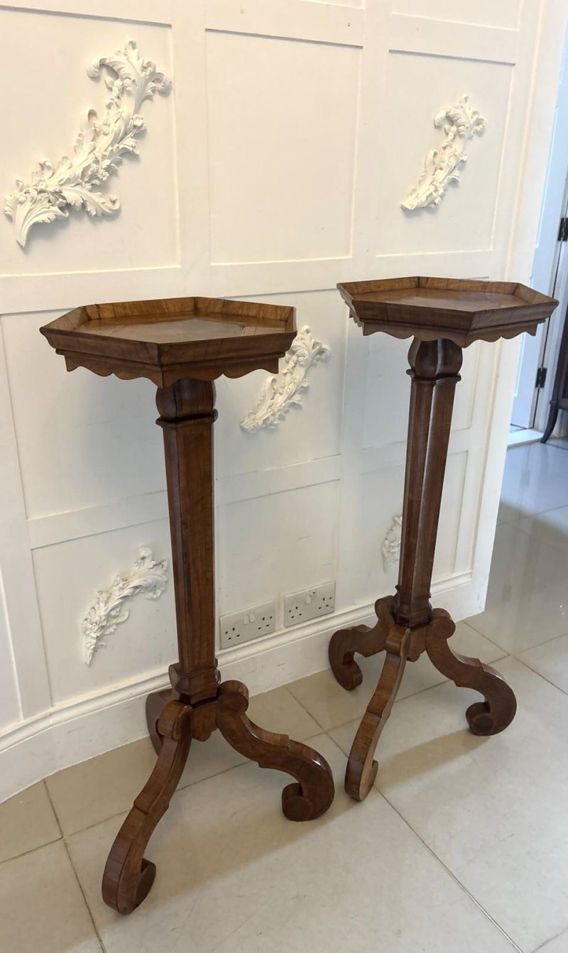 Antique Pair of Dutch Walnut and Kingwood Pedestal Torcheres - Image 6
