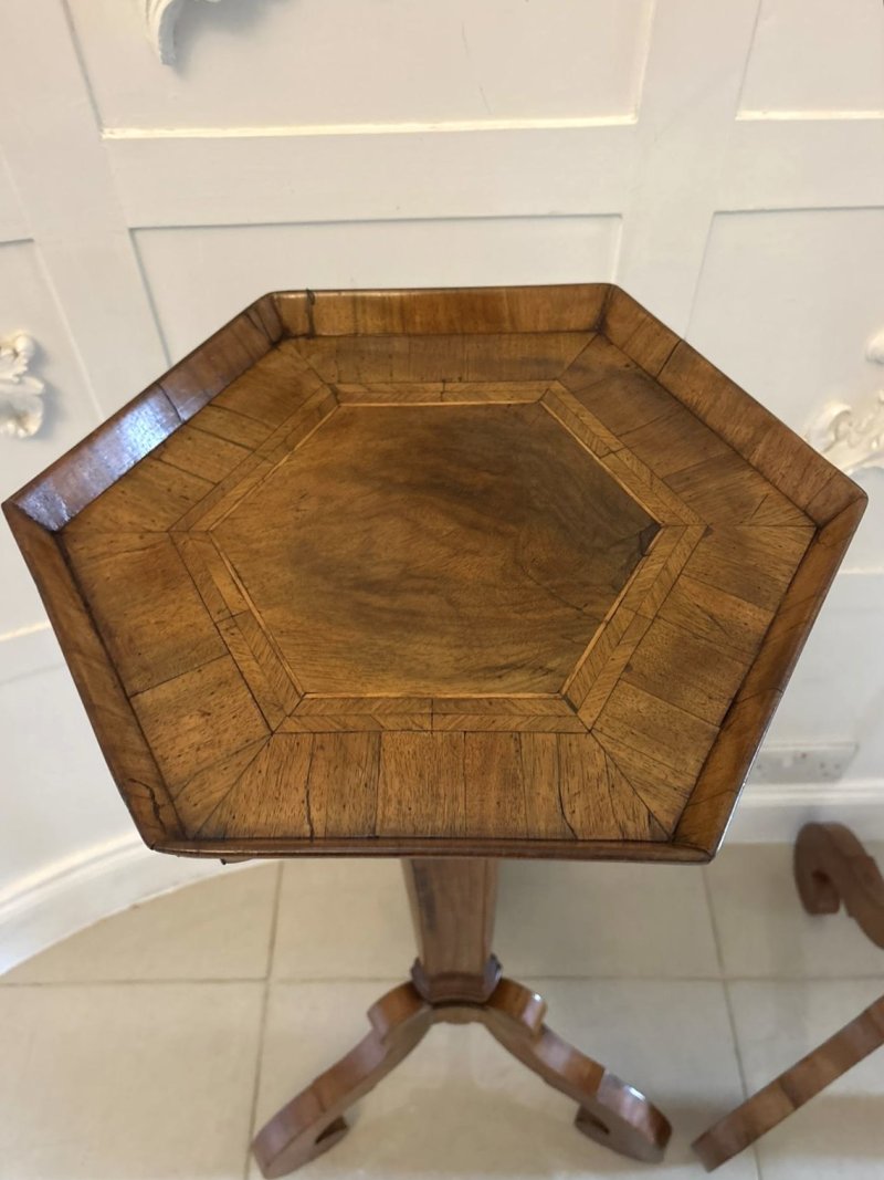 Antique Pair of Dutch Walnut and Kingwood Pedestal Torcheres - Image 10