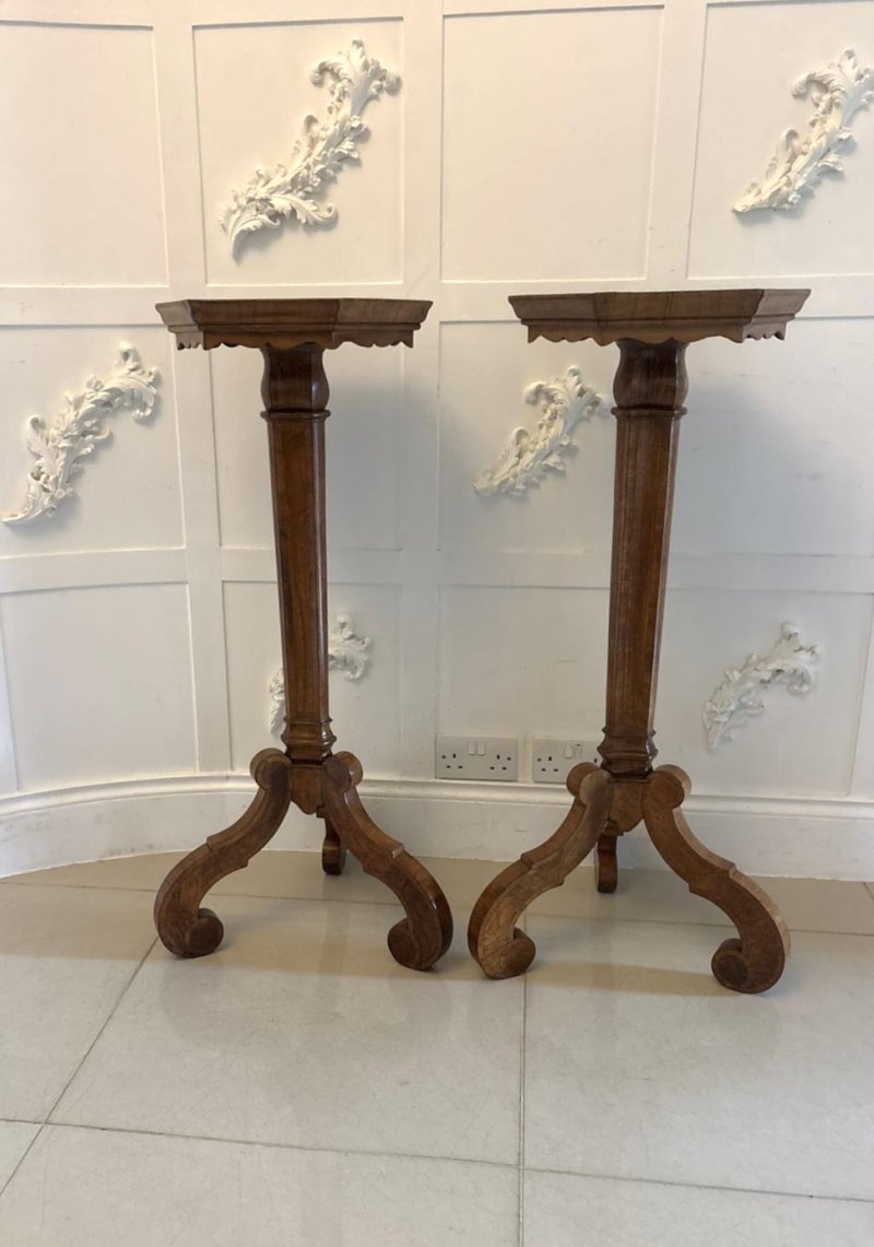 Antique Pair of Dutch Walnut and Kingwood Pedestal Torcheres - Image 4