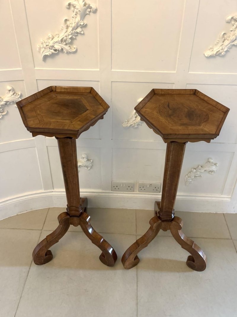 Antique Pair of Dutch Walnut and Kingwood Pedestal Torcheres - Image 5