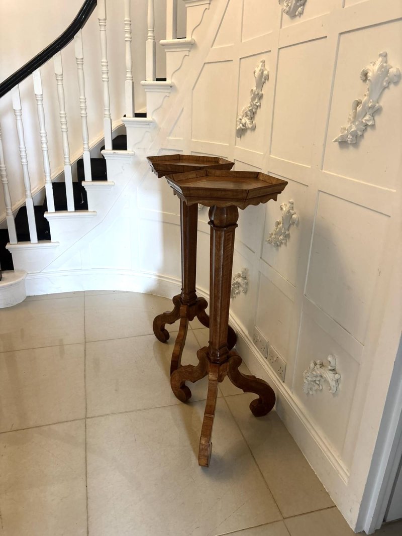 Antique Pair of Dutch Walnut and Kingwood Pedestal Torcheres - Image 7