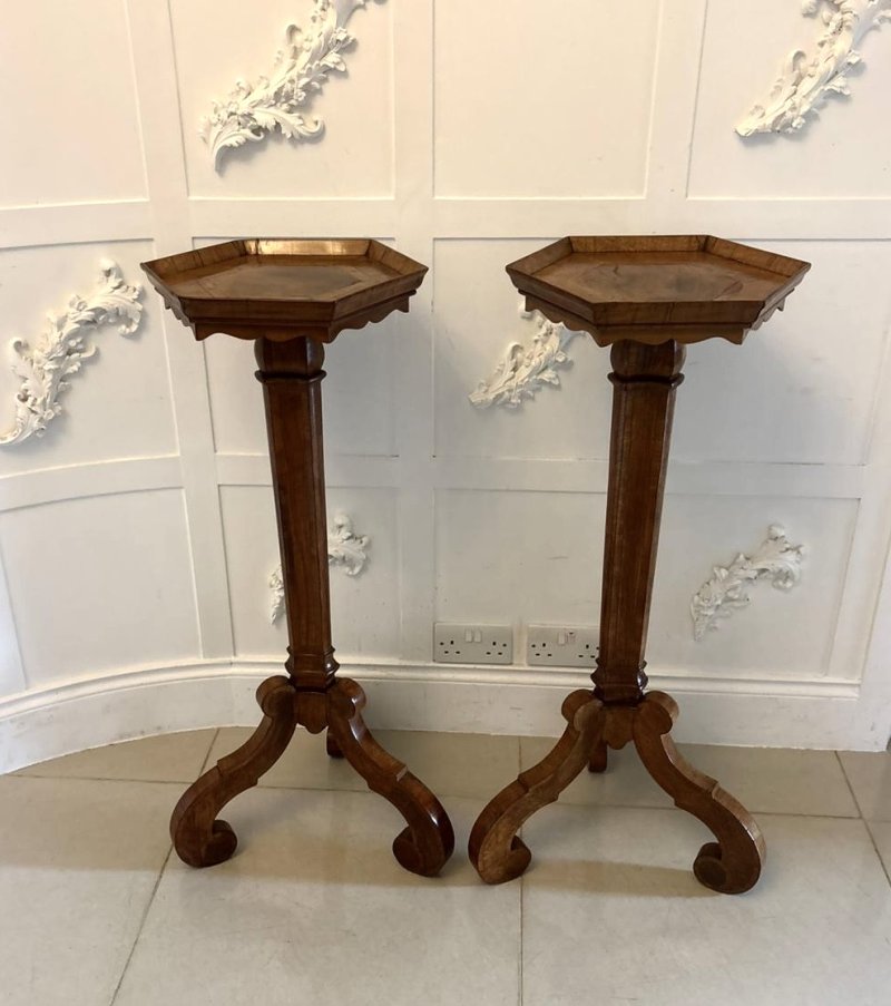 Antique Pair of Dutch Walnut and Kingwood Pedestal Torcheres