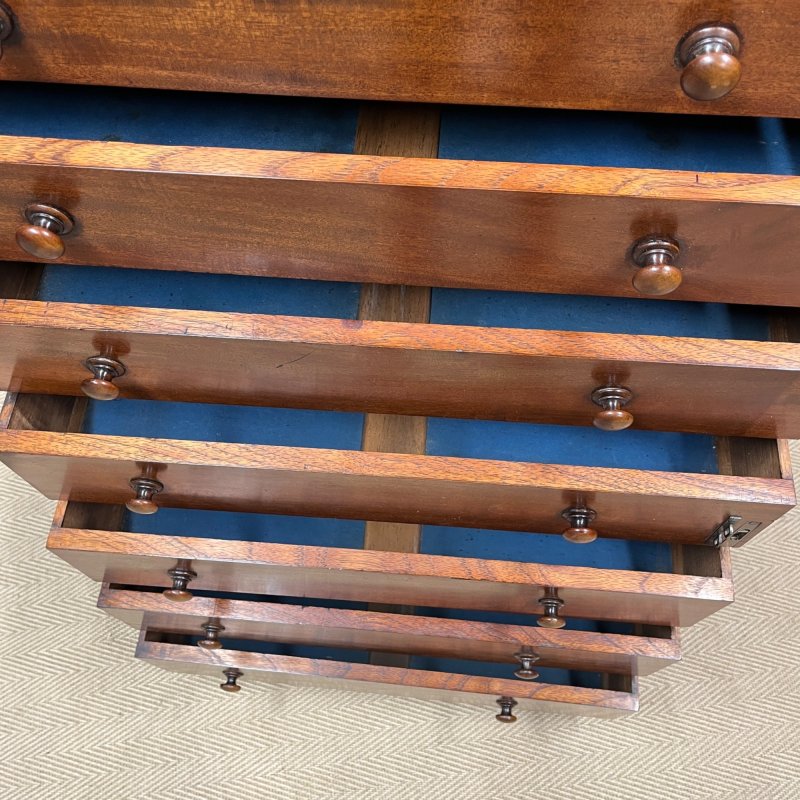 19th Century Wellington Chest - Image 4