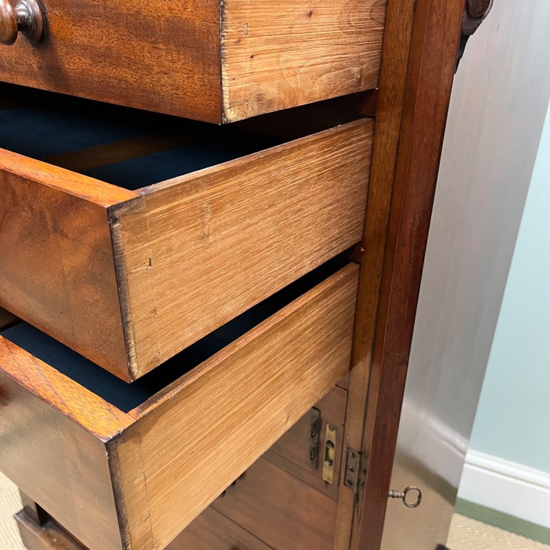 19th Century Wellington Chest - Image 7
