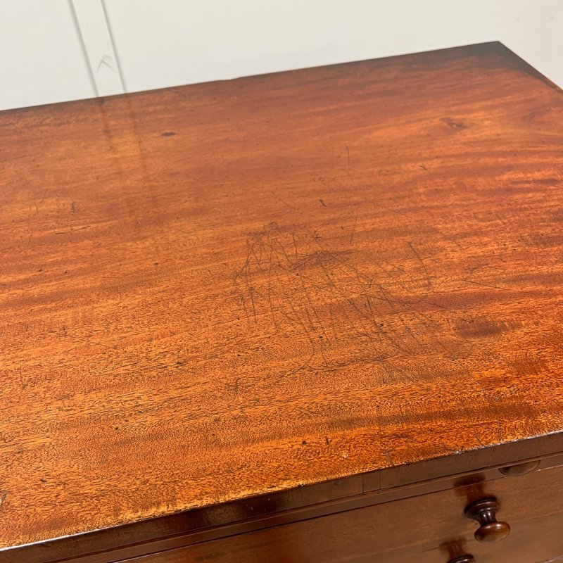 19th Century Wellington Chest - Image 9