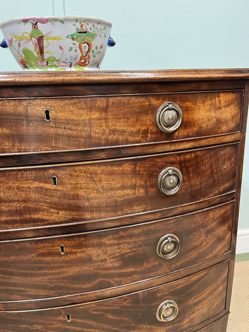 Regency Bow Fronted Chest Of Drawers - Image 3