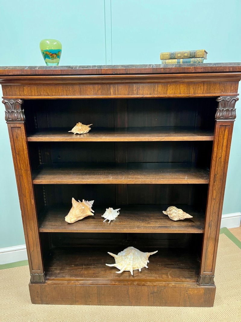 George IV Rosewood Bookcase - Image 3