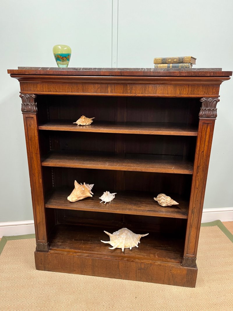 George IV Rosewood Bookcase