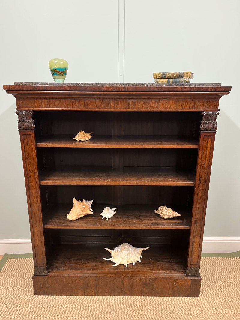 George IV Rosewood Bookcase - Image 4