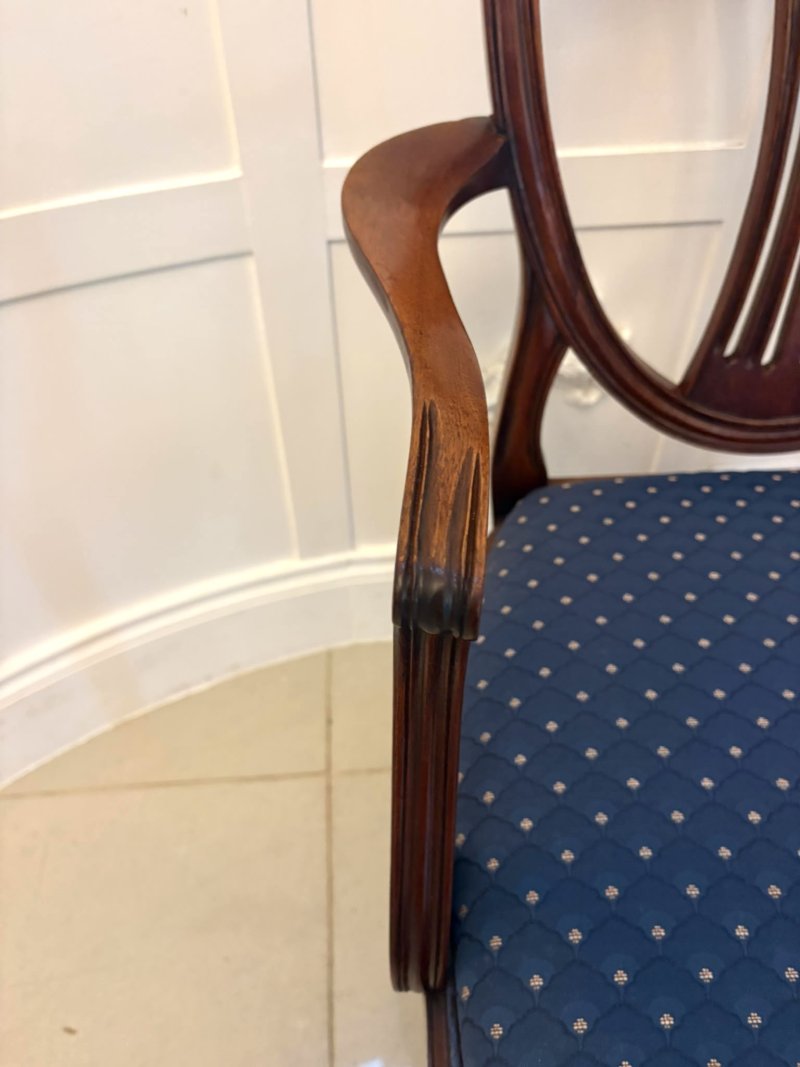 Antique Set of 12 Mahogany Shield Back Dining Chairs – 10 Dining Chairs & 2 Carvers - Image 11