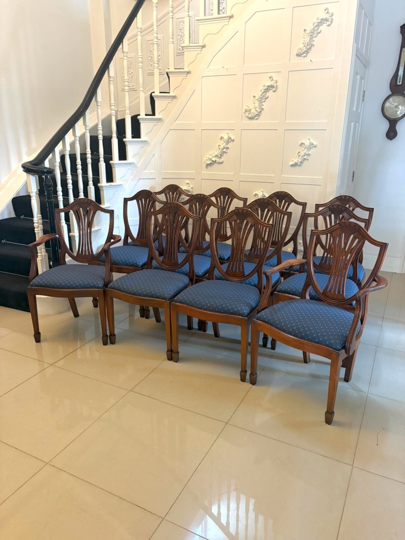 Antique Set of 12 Mahogany Shield Back Dining Chairs – 10 Dining Chairs & 2 Carvers - Image 2