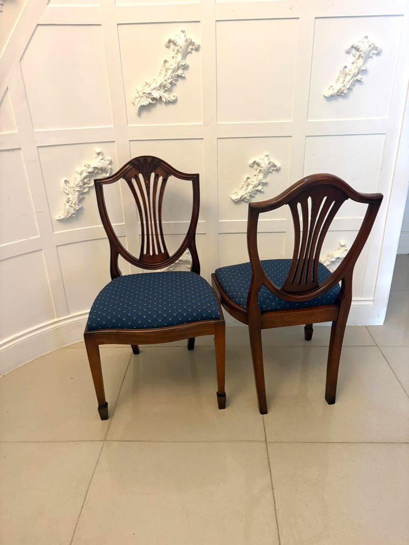 Antique Set of 12 Mahogany Shield Back Dining Chairs – 10 Dining Chairs & 2 Carvers - Image 23