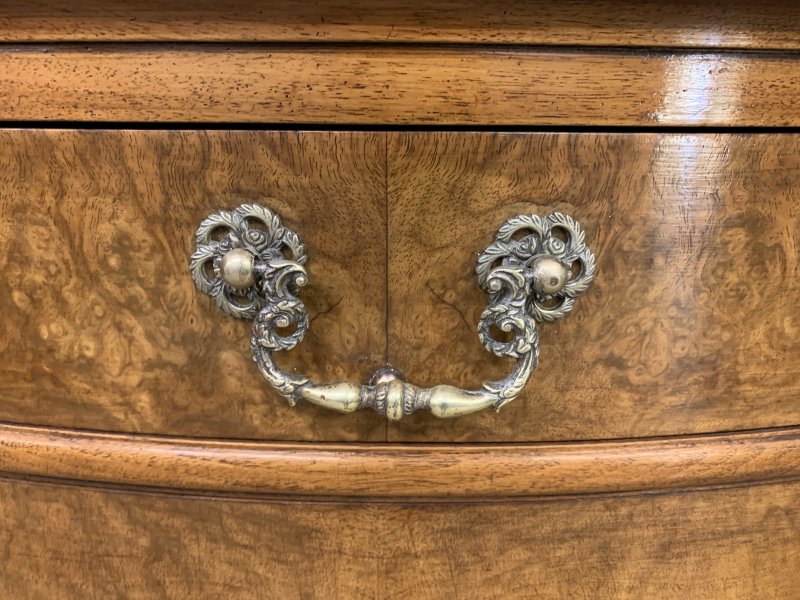 Tall Pair of Burr Walnut Pedestal Cupboards - Image 17