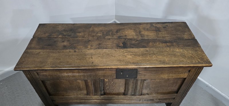 Georgian Oak Coffer - Image 6