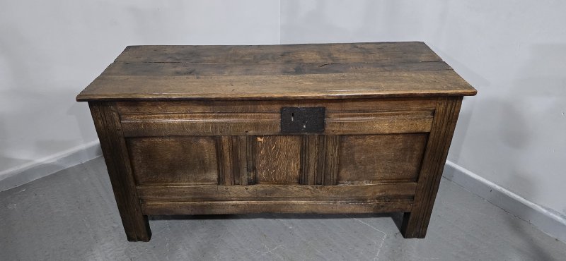 Georgian Oak Coffer - Image 12