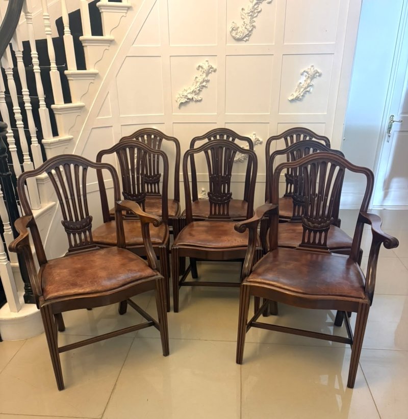 Antique Set of 8 Victorian Mahogany Shield Back Hepplewhite Style Dining Chairs Carvers Original Tan Leather