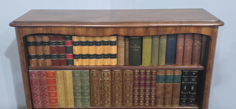 Quality French Open Adjustable Library Bookcase - Image 9