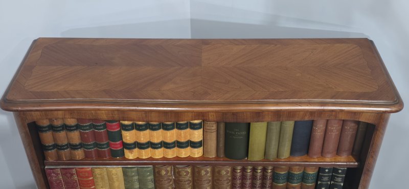 Quality French Open Adjustable Library Bookcase - Image 7