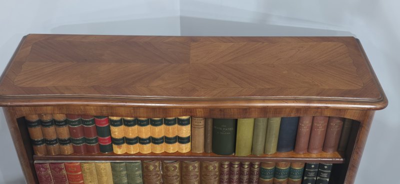 Quality French Open Adjustable Library Bookcase - Image 10