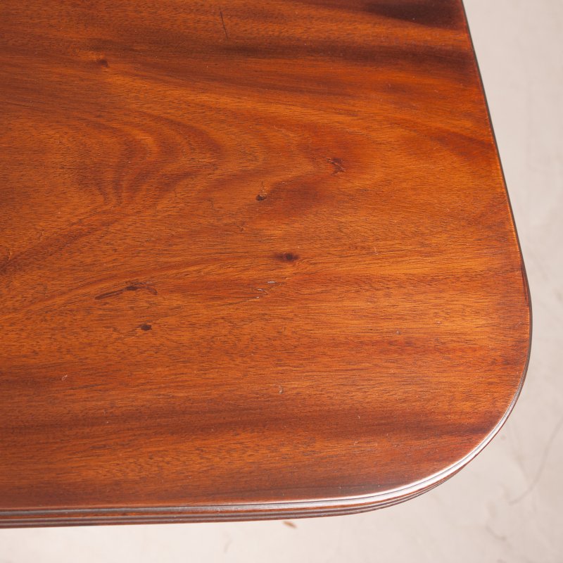 Regency Style Twin Pillar Dining Table With Two Leaves - Image 17