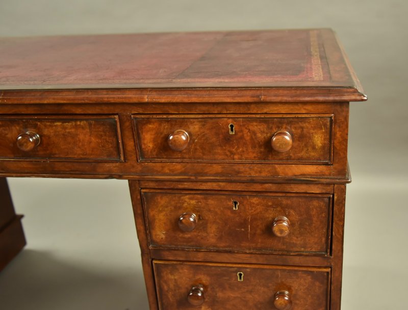 Victorian Burr Walnut Pedestal Desk - Image 5