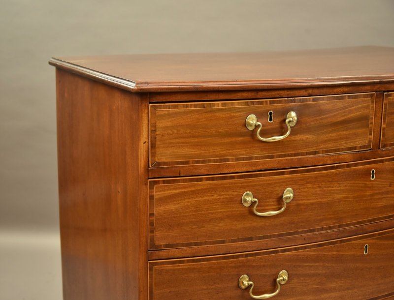 Large 19th Century Mahogany Bowfront Chest of Drawers - Image 7