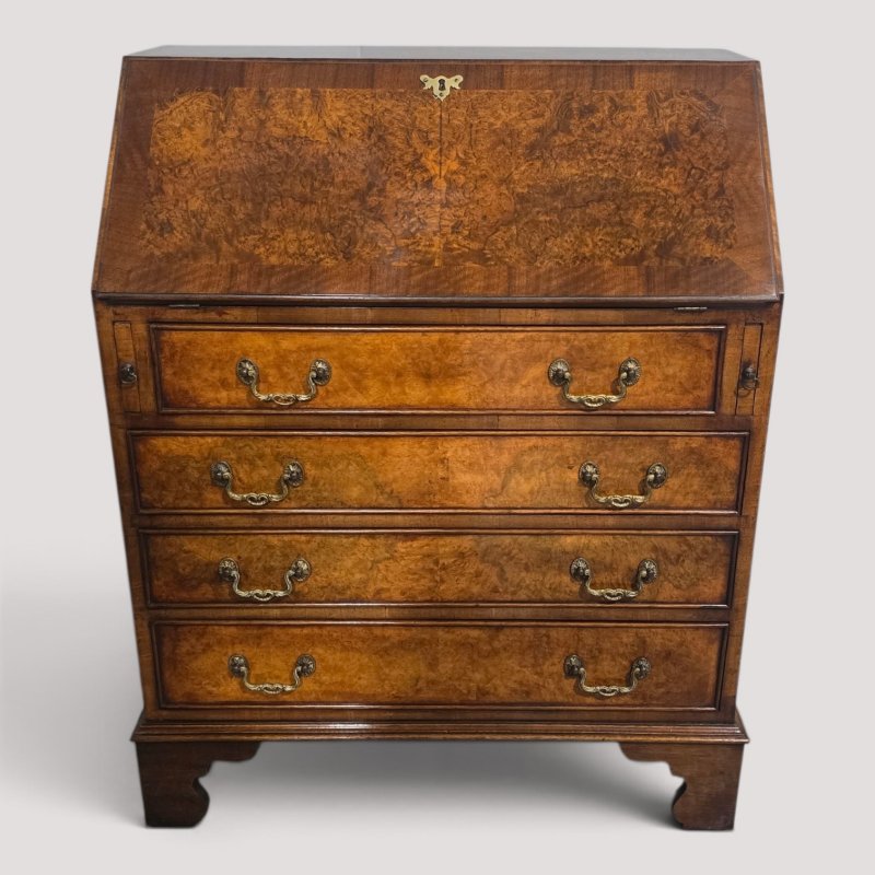 Super Burr Walnut Queen Anne Bureau