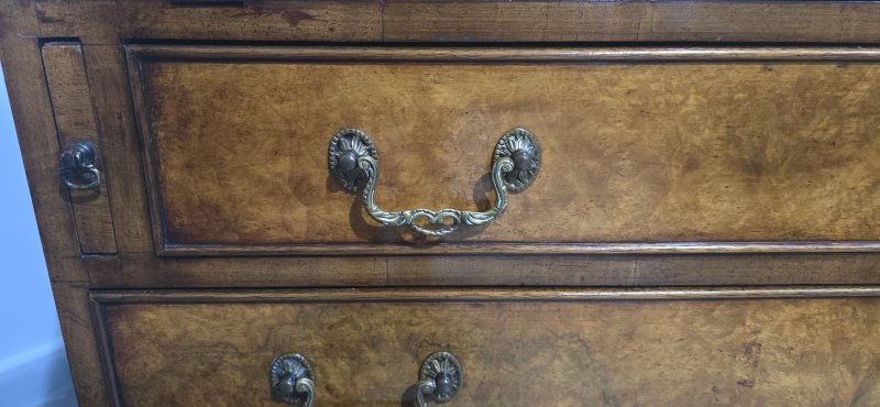 Super Burr Walnut Queen Anne Bureau - Image 11
