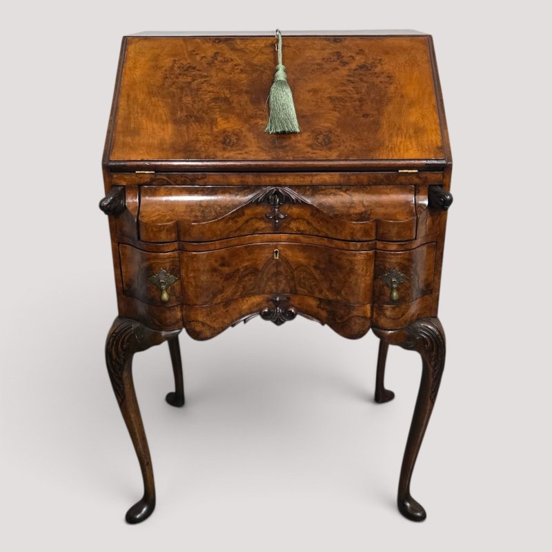 Super Queen Anne Burr Walnut Bureau