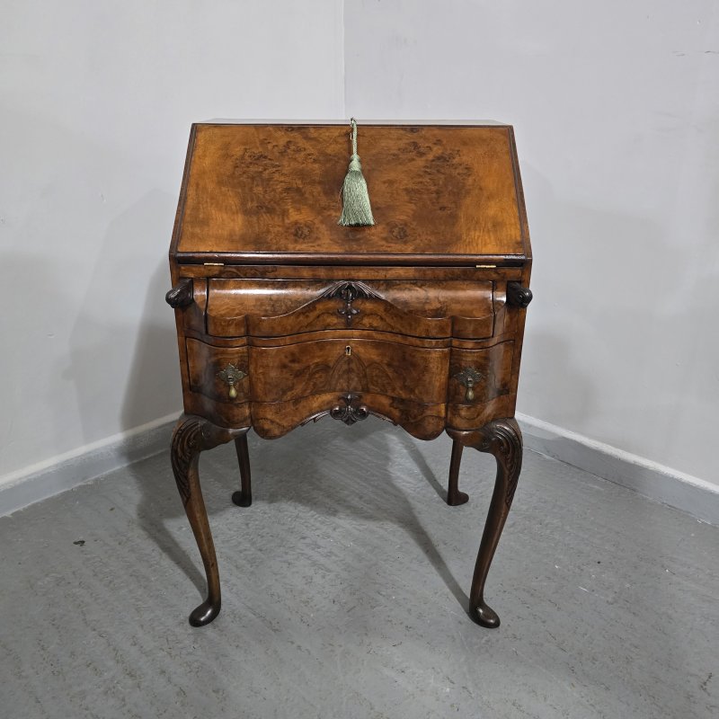 Super Queen Anne Burr Walnut Bureau - Image 4