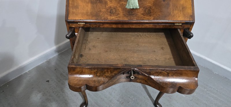 Super Queen Anne Burr Walnut Bureau - Image 9