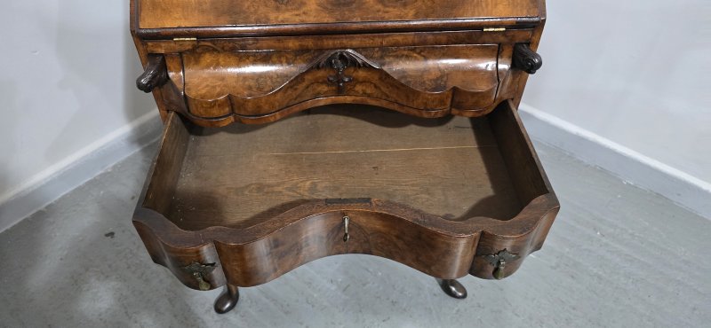 Super Queen Anne Burr Walnut Bureau - Image 10