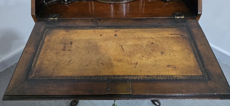 Super Queen Anne Burr Walnut Bureau - Image 12