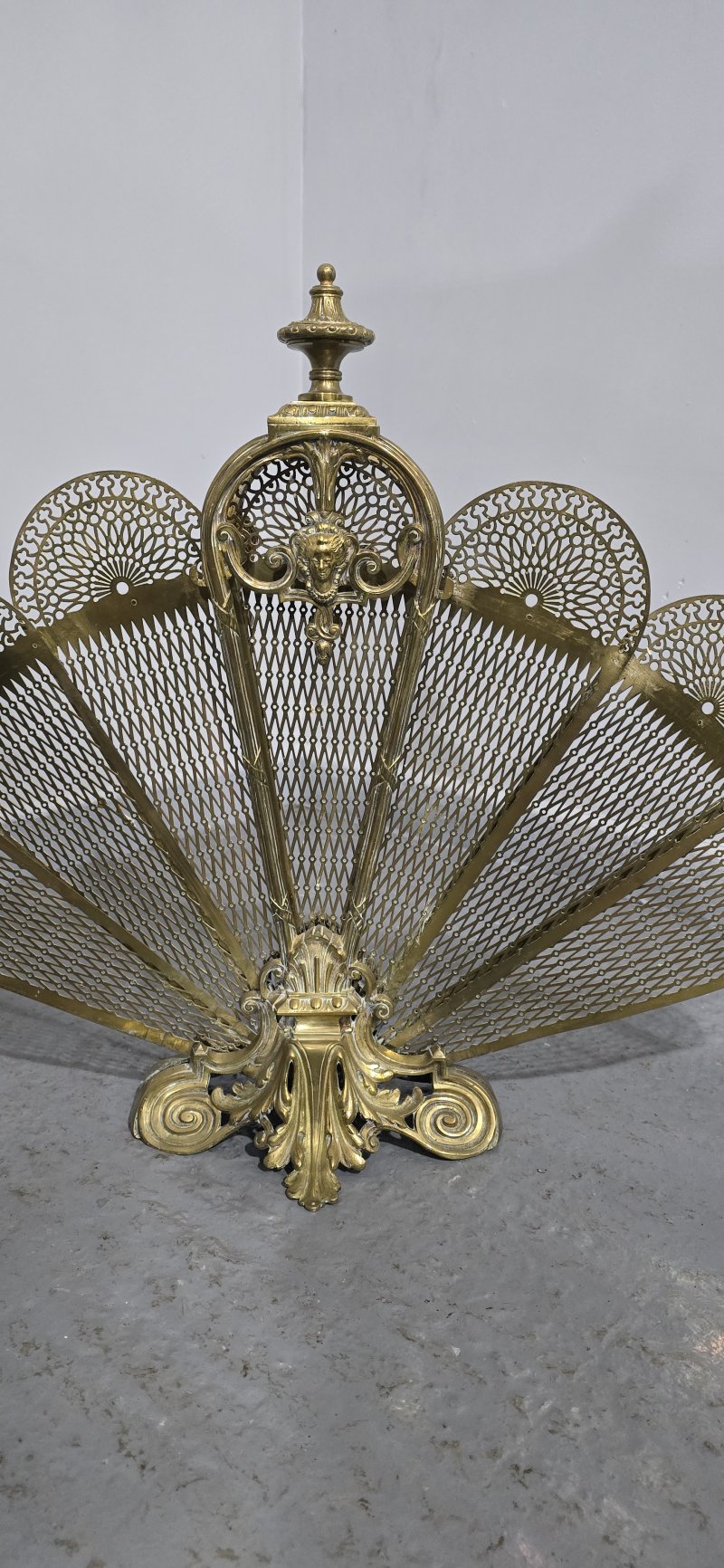 Victorian Peacock Fire Screen - Image 9