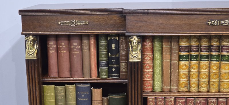 Empire Mahogany Adjustable Library Bookcase - Image 14