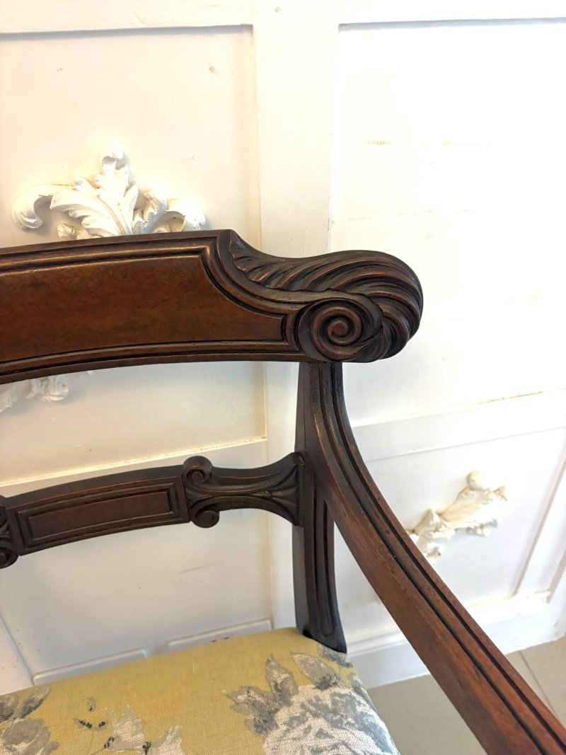 Antique Regency Mahogany Set of 8 Dining Chairs Including 2 Carvers - Image 13