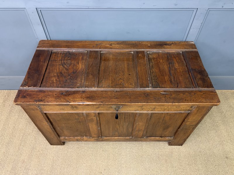 Georgian Oak Coffer - Image 16