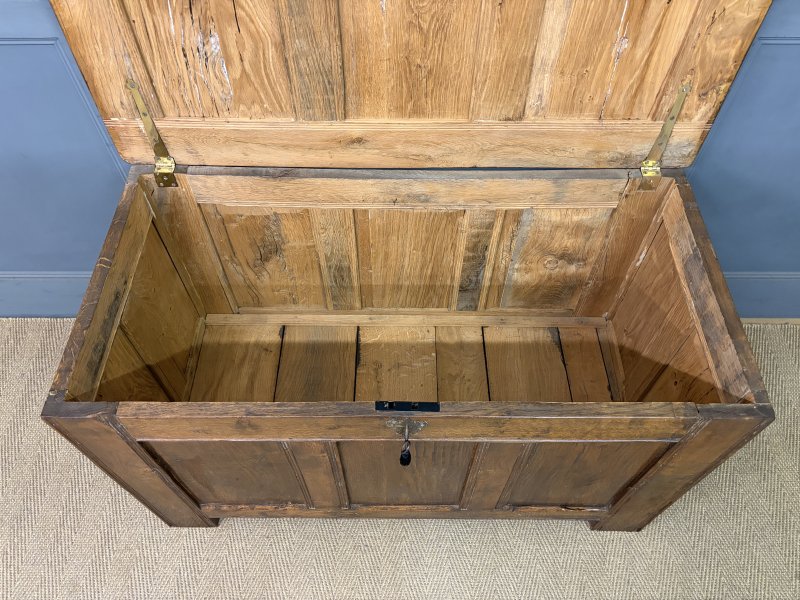 Georgian Oak Coffer - Image 12