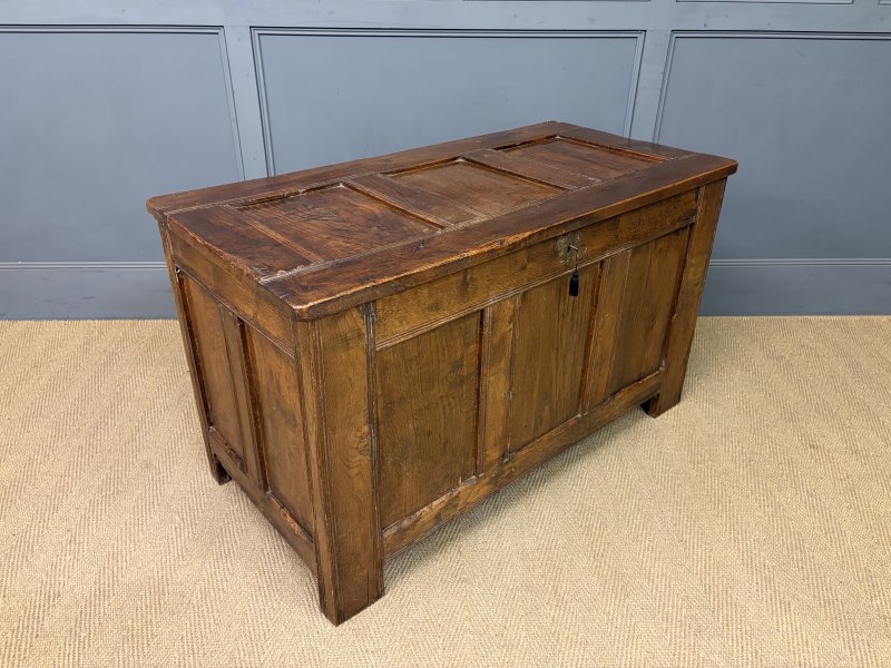 Georgian Oak Coffer - Image 10