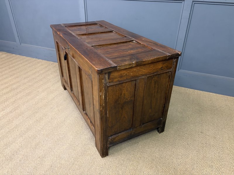 Georgian Oak Coffer - Image 8