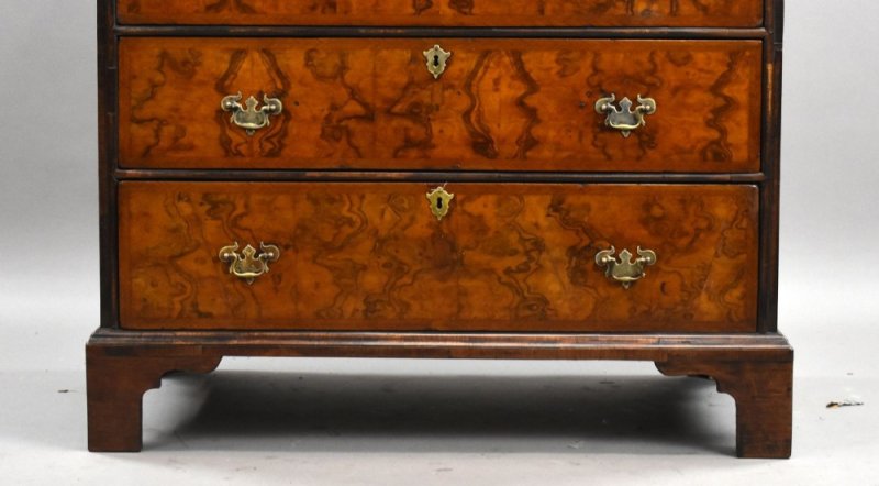 George III Burr Walnut Chest of Drawers - Image 7