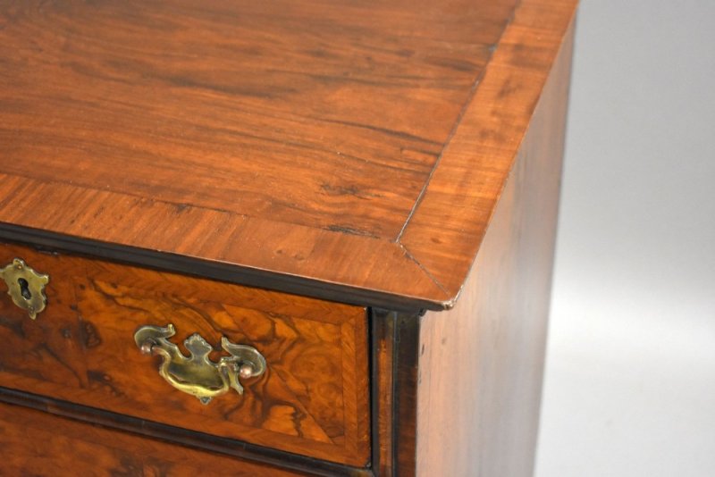 George III Burr Walnut Chest of Drawers - Image 9