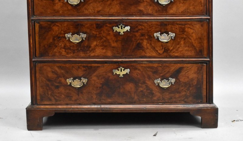 George III Burr Walnut Chest of Drawers - Image 7