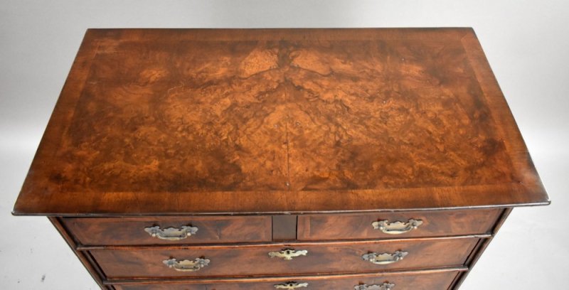George III Burr Walnut Chest of Drawers - Image 8