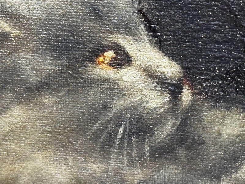Decorative Persian Cat and Kittens Oil Painting Agnes Augusta Talboys - Image 9
