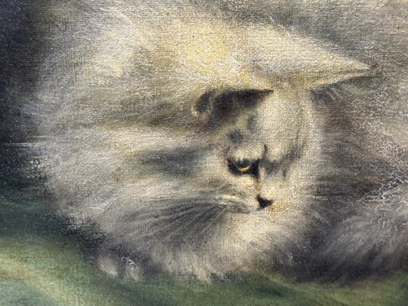 Decorative Persian Cat and Kittens Oil Painting Agnes Augusta Talboys - Image 13